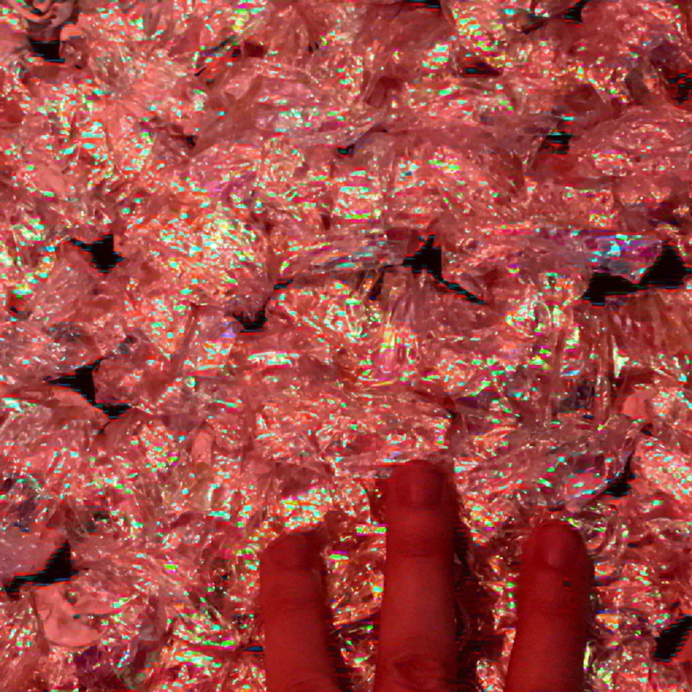 Meet your Posher, Dani